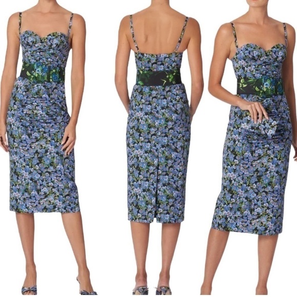 CAROLINA HERRERA Anemone Print Ruched Midi Cocktail
Sleeveless Dress NEW size 8 - Picture 1 of 16